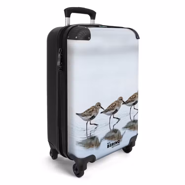 CaseSwap™ - Vögel – Wasser – Grau — 2